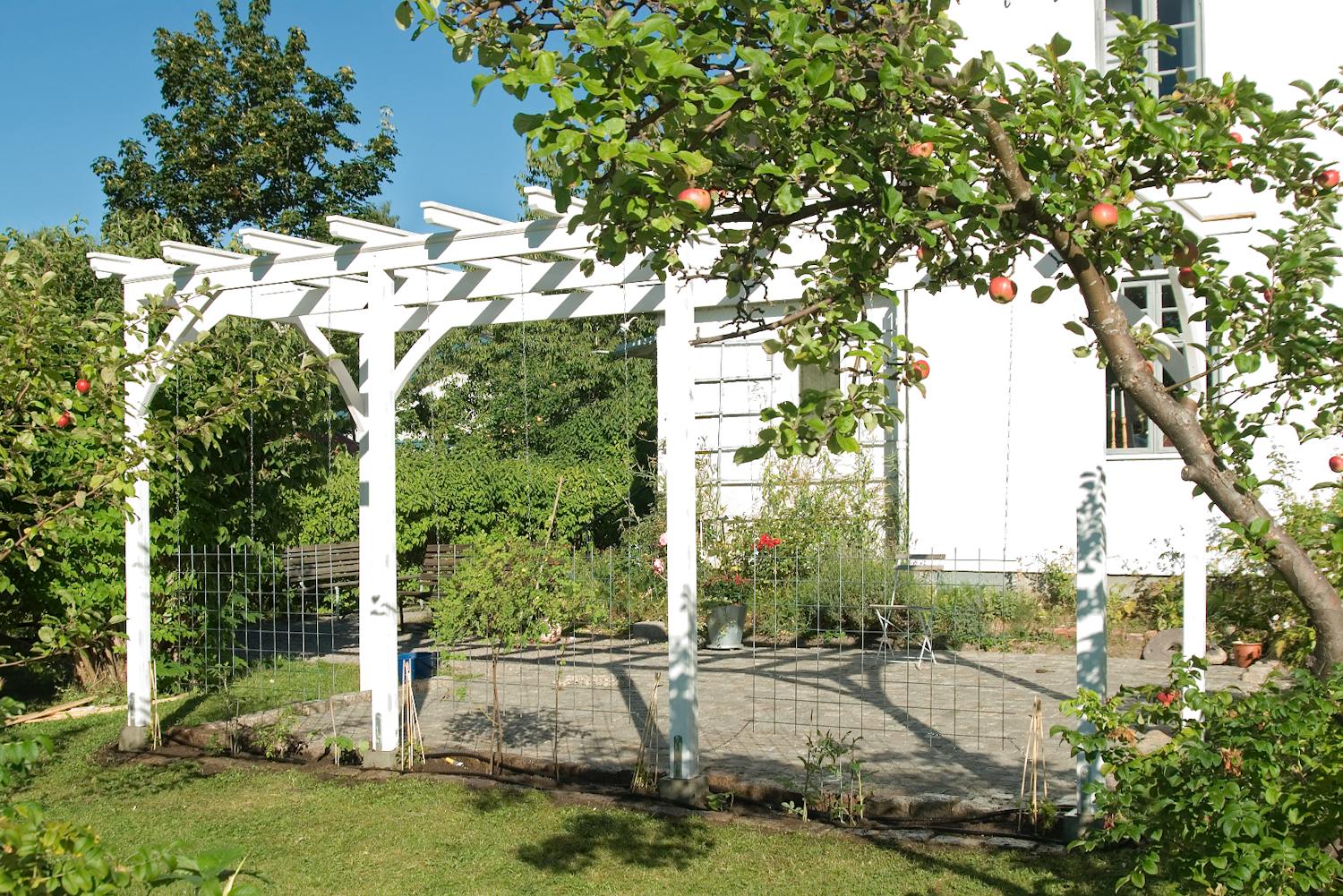 Nämä asiat pitää tietää, kun rakennat pergolan